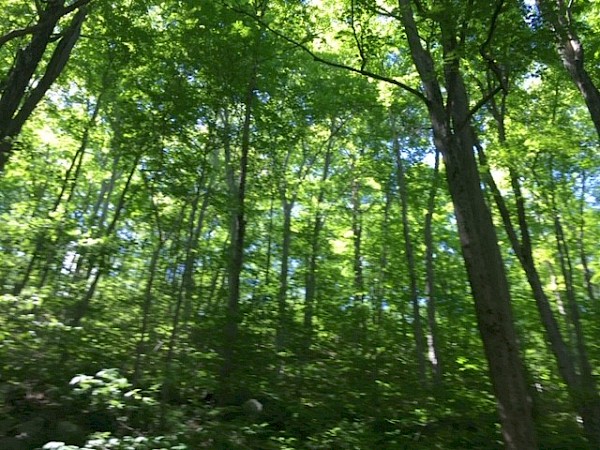 uk-transition-scale-up