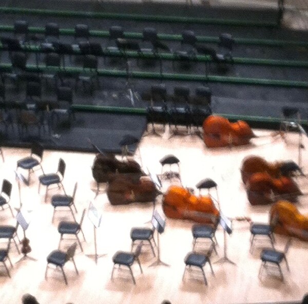 uk-transition-scale-up