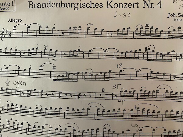 uk-transition-scale-up