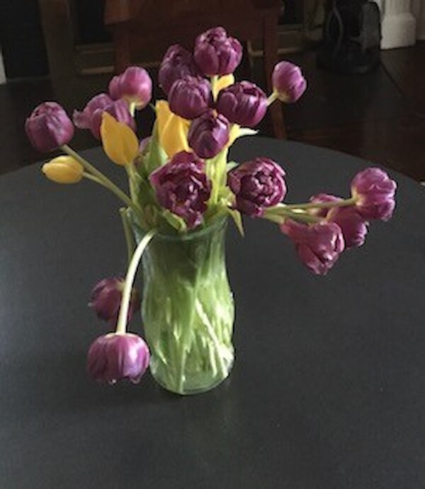 uk-transition-scale-up