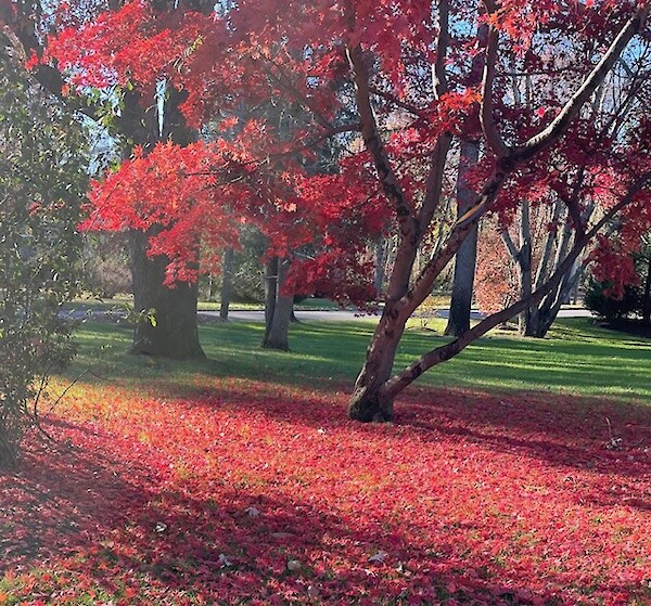 uk-transition-scale-up