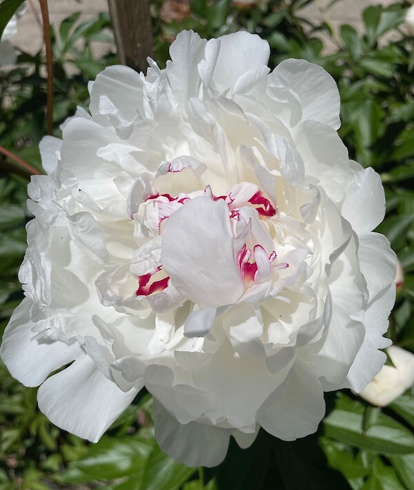 uk-transition-scale-up